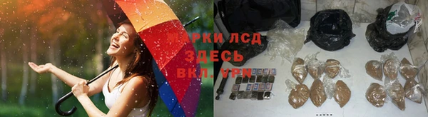 ешки Горнозаводск